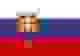 斯洛伐克女籃 logo