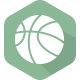 飛星女籃 logo