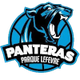 潘多拉女籃 logo
