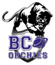 SASP BC奧爾希 logo
