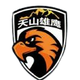 新疆天山U21 logo
