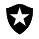 博塔福戈U19 logo
