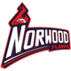 諾伍德火焰女籃 logo