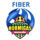 霍米加斯女籃 logo