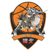 石家莊翔籃 logo