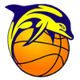 JKL海豚女籃 logo