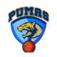 CD普馬斯 logo