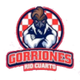 戈里奧內斯女籃 logo