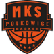 波爾科維塞女籃 logo