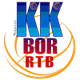 博爾Rtb logo