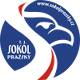 普拉日斯基 logo