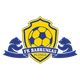巴布倫加斯U19 logo