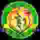帕拉庫迪納摩 logo