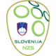 斯洛文尼亞U21 logo