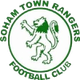 索厄姆鎮流浪 logo