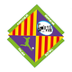 帕爾馬室內足球隊 logo