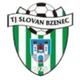 霍爾尼布里扎 logo
