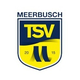 TSV梅爾布施 logo