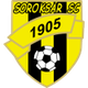 索羅克薩 logo