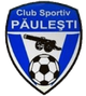 帕勒斯 logo