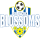圣安東尼奧布洛松斯女足 logo