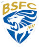 布雷西亞U18 logo