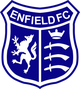 恩費爾德 logo