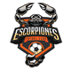 埃斯科皮奧B隊 logo