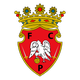 彭拿費爾 U19 logo