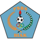PSBS巴克倫佛 logo