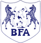 博茨瓦納 logo