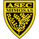 ASEC米莫薩女足 logo