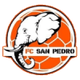 圣佩德羅FC logo