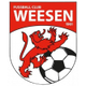 韋森 logo
