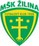 日利納女足 logo