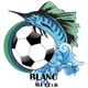 都柏林FC logo