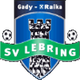 SV雷布林市 logo