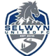 塞爾溫聯合 logo