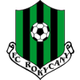 羅基察尼 logo