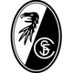 弗賴堡女足 logo
