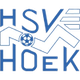 HSV胡克 logo
