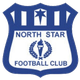 北極星 logo