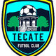 特卡特FC logo