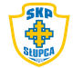 斯盧帕 logo