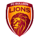 布林獅子U21 logo