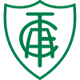 亞美利加女足 logo