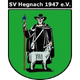 海格納克女足 logo