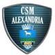 亞歷山德里亞 logo