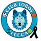 伊泰卡狼 logo