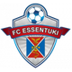 葉森圖基FC logo